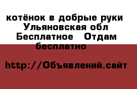 котёнок в добрые руки - Ульяновская обл. Бесплатное » Отдам бесплатно   